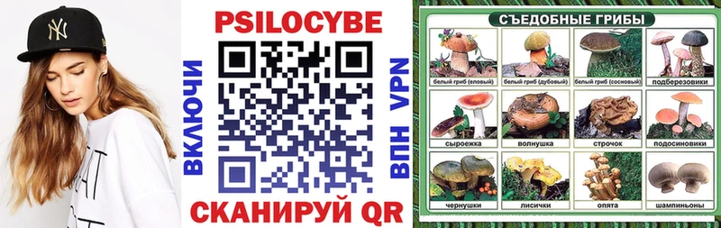 где найти наркотики  Томилино  Галлюциногенные грибы MAGIC MUSHROOMS 
